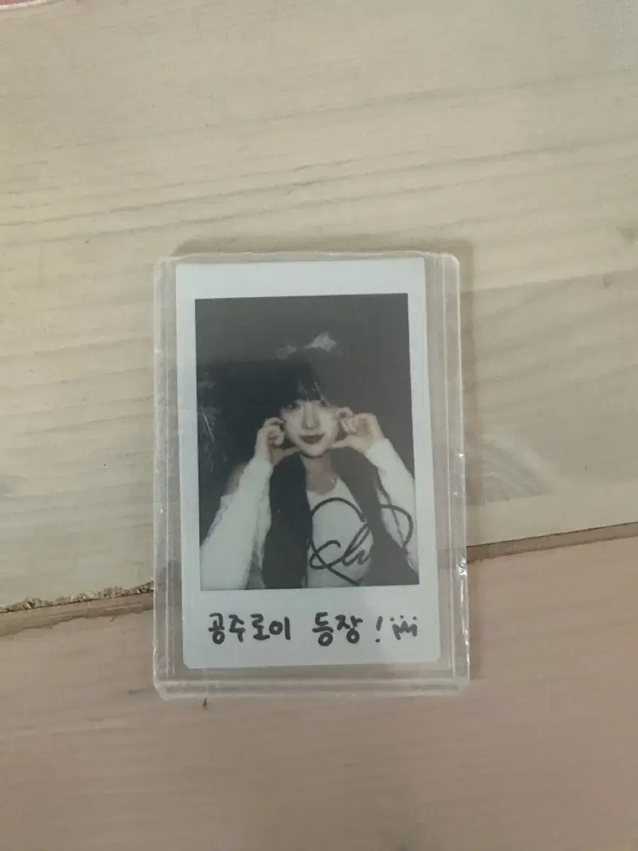 시그니처 클로이 싸인폴라