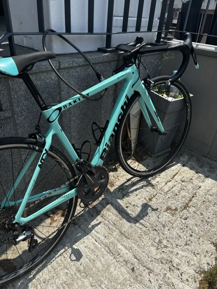 50 Bianchi Sprint Full Ultegra