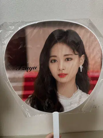 Tzuyu TWICE DOME TOUR 2019 부채