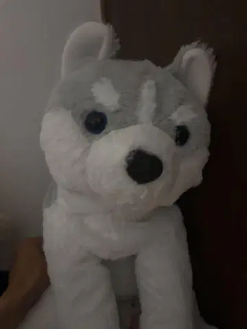 허스키 개 봉제 인형 그레이와 화이트