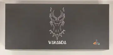 SL CUSTOM (액션 피규어) WAKANDA 1/6 스케일