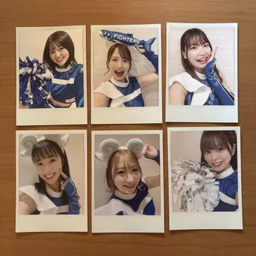 파이터즈 걸 폴라로이드 6장 세트