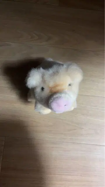 소형 돼지 봉제 인형