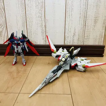 HG 디스티니 건담 & 제우스 실루엣 정크 조립 완료