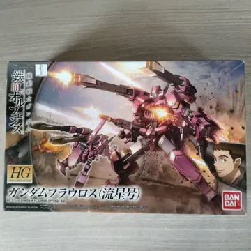 HG 1/144 건담 플라로스 (유성호)