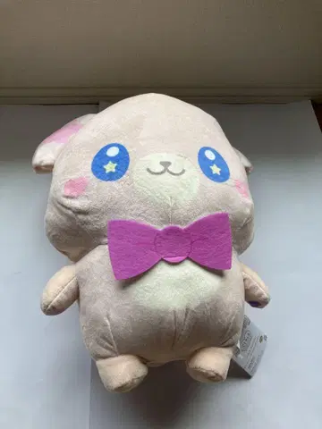 푸치쿠아 메차모후구토 봉제 인형~ 푸치쿠아 모후룬~