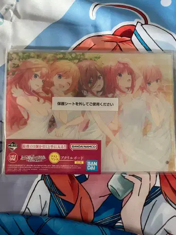 영화 5등분의 신부 ~순회하는 궤적~ 라스트 원 상 외 수상