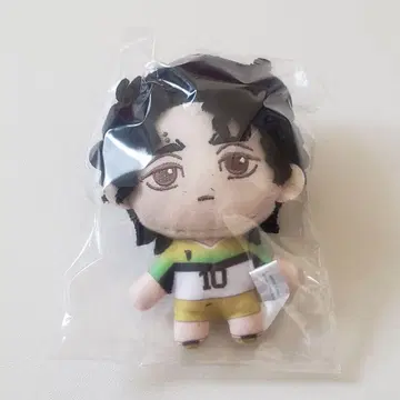 하이큐 세가 럭키 쿠지 B상 봉제 인형 마스코트 사쿠하 세이오