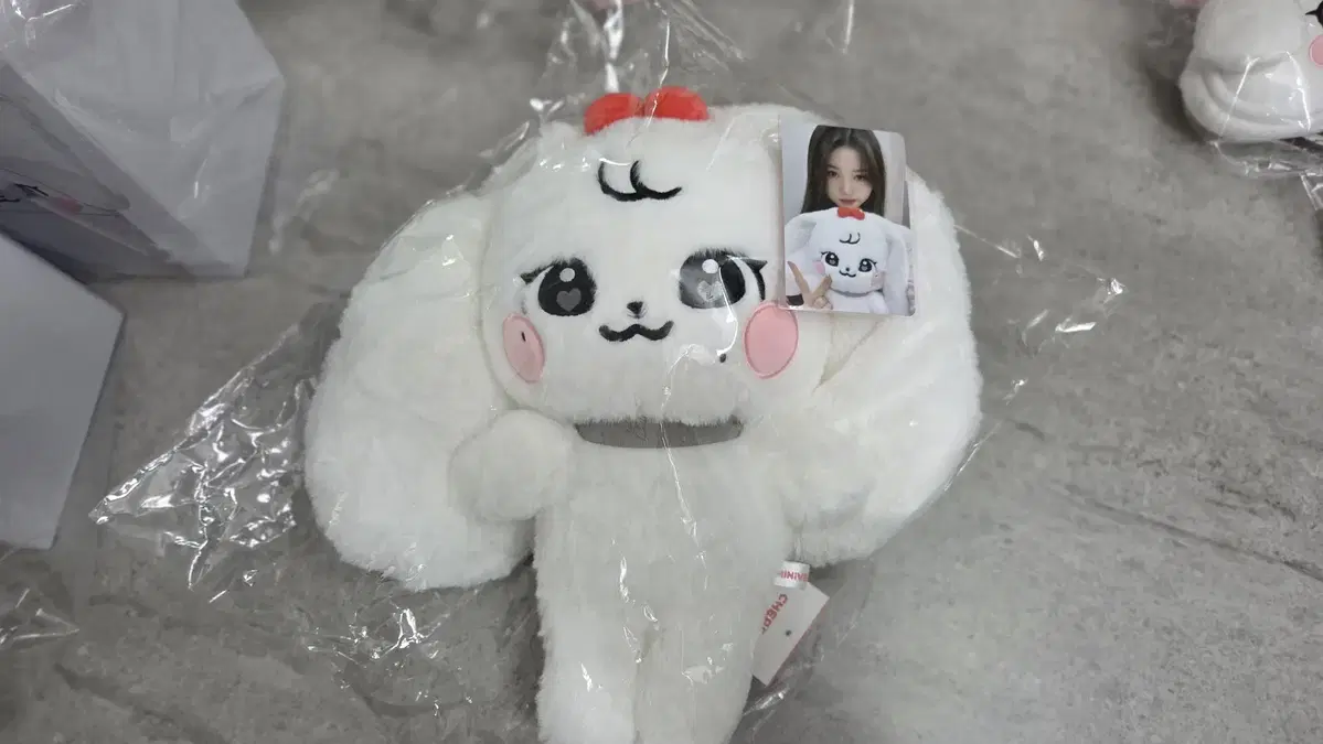 미니브 플러피 플러시 30cm 체리 2025 미니브 팝업스토어