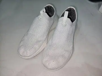 allbirds 올 버즈 트리 대셔 스니커즈