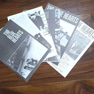 THE BLUE HEARTS 블루 하츠 뉴스레터 DM 6권 파랑심회