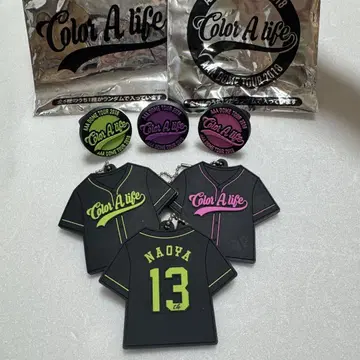 AAA DOME TOUR 2018 Color A Life 키링