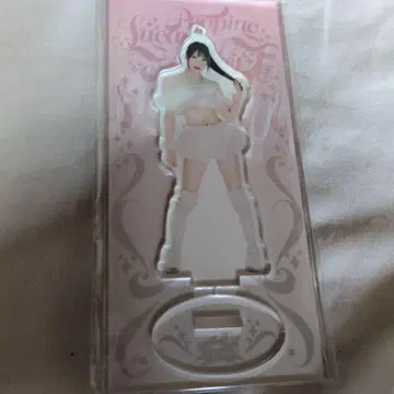 도쿄 여자 프로레슬링 미즈키 아크릴 스탠드