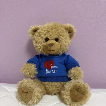 곰 봉제 인형