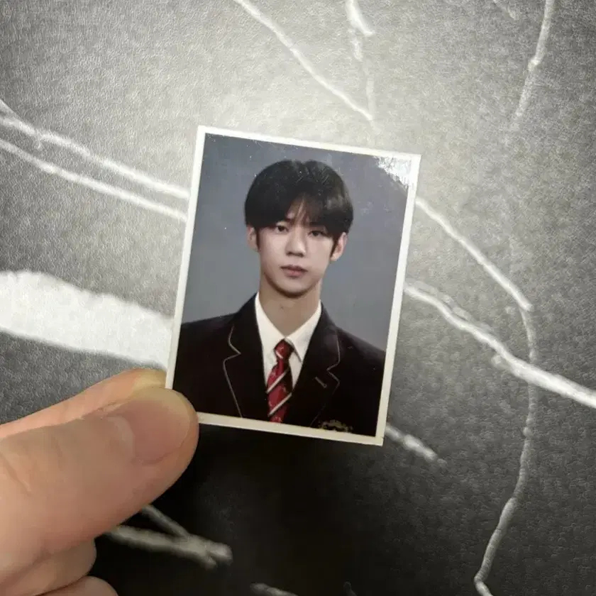 TWS | 투어스 Tws Dohun ID photo on Bunjang Global Site.