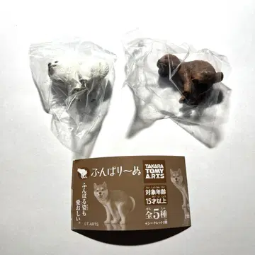 힘을 내라!