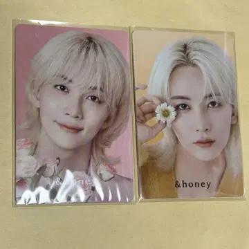 안드허니 정한 6매 세트