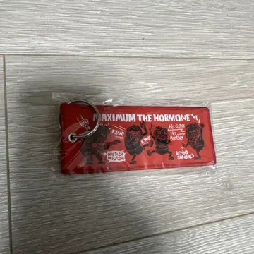 맥시멈 더 호르몬 자수 플라이트 택