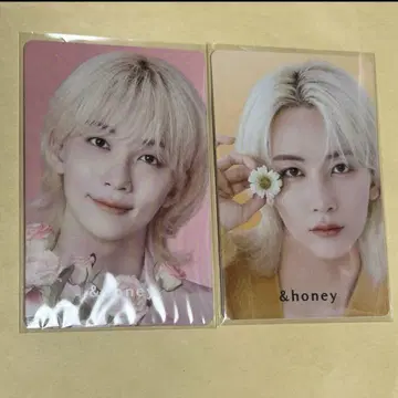 안드허니 정한 6매 세트
