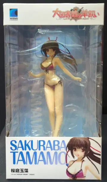 wave BEACH QUEENS 사쿠라바 타마모