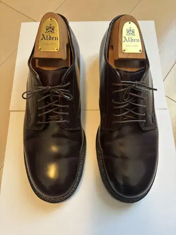 1회 착용 알든 플레인토 코도반 8D 버건디