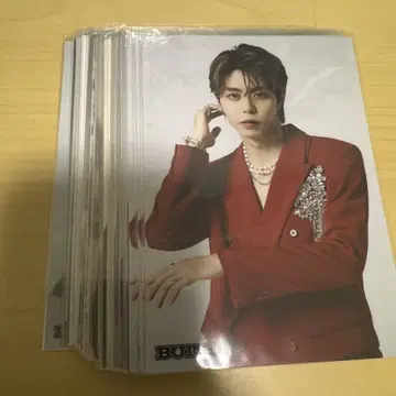 BUDDiiS SEIYA 브로마이드 세트