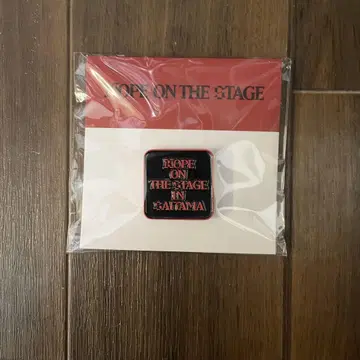 bts hope on the stage 핀 배지 사이타마 핀