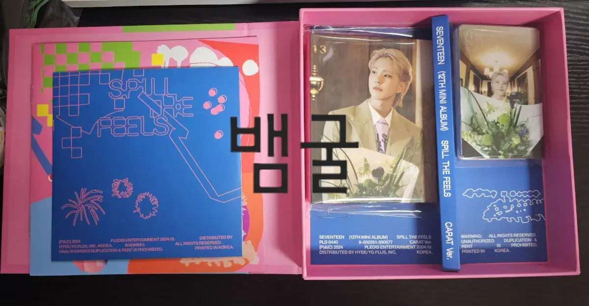 SPILL THE FEELS 캐럿반 호시