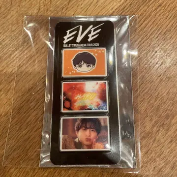 EVE BULLET TRAIN 2025 사진 그레이 부품 선체