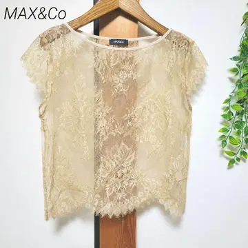 MAX&Co 맥스앤코 레이스 시스루 숏 기장 꽃무늬 베이지