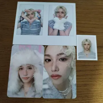 스키즈 도서 국내 펜미 트레이딩 카드 폴라로이드 필릭스