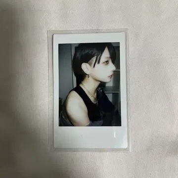 카지군 폴라로이드