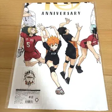 미개봉 새상품 하이큐 천 포스터 10th Anniversary