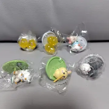 치이카와 초코 사프