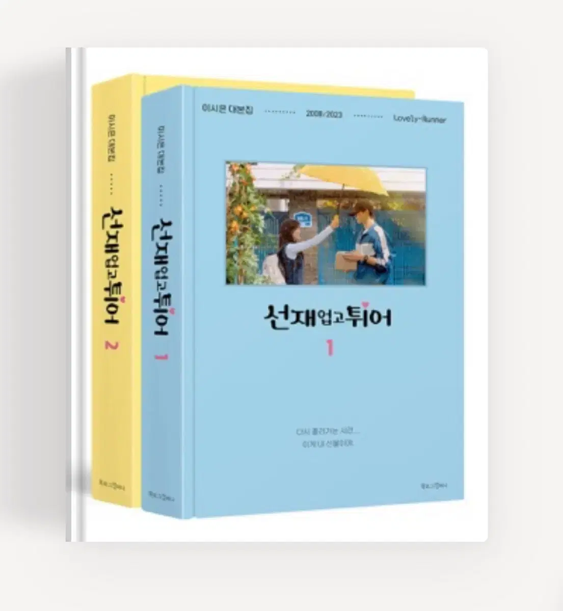 Seonjae Upgo Twieo sealed script book, paperweight