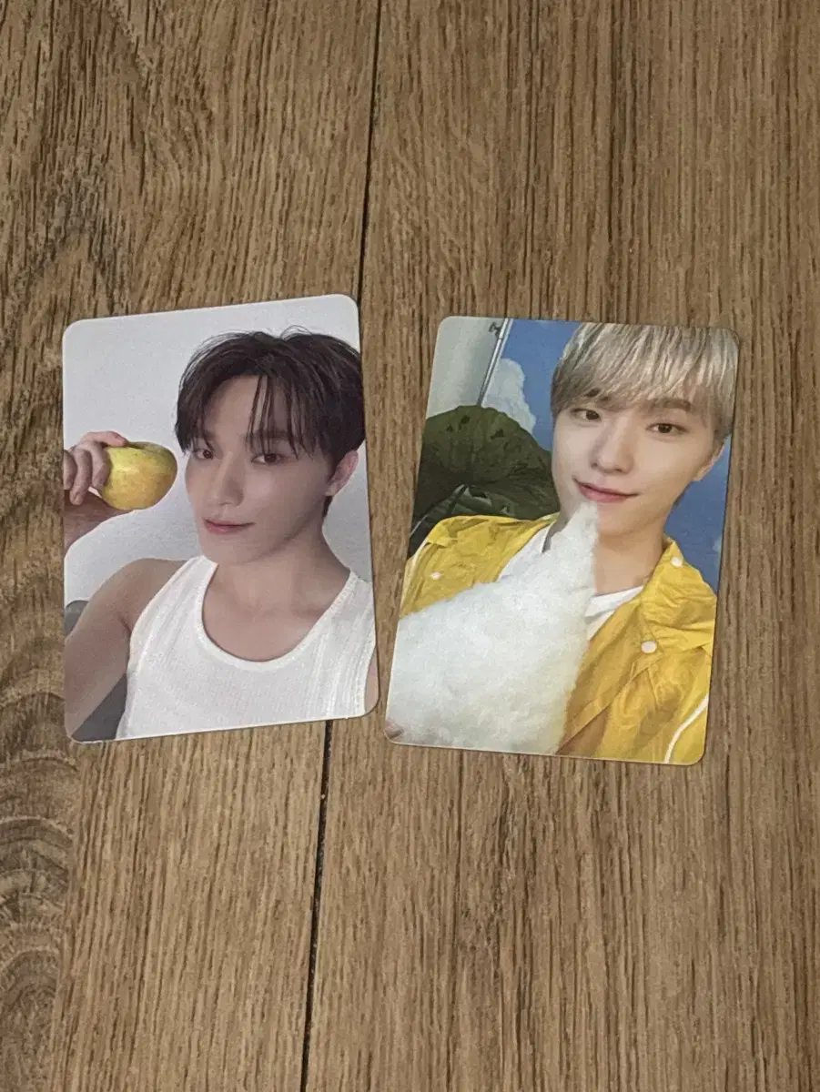 세븐틴 디노 포카