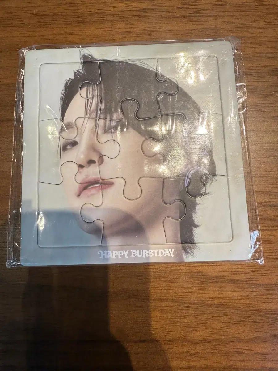 Seventeen Puzzle dino