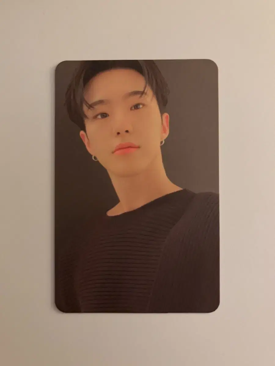 세븐틴 호시 포카
