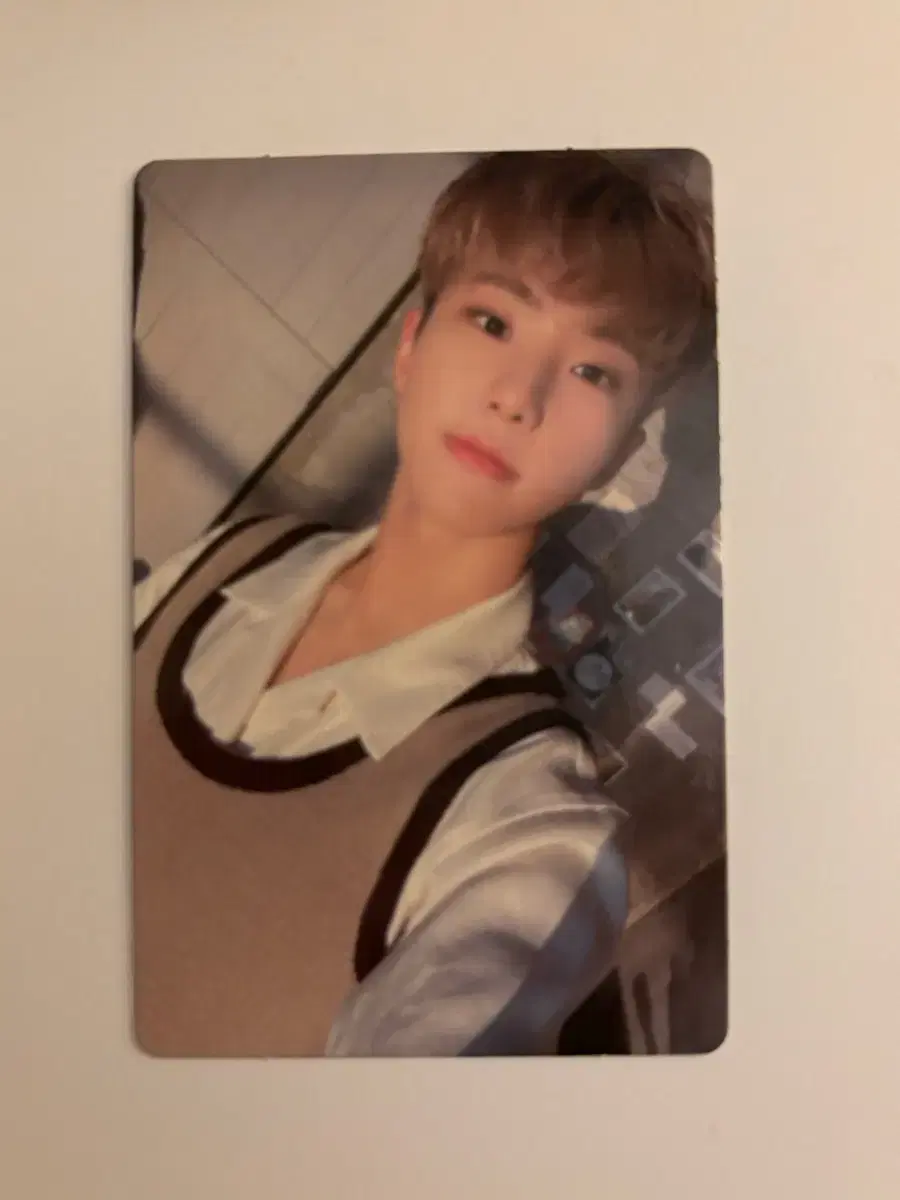 세븐틴 호시 포카