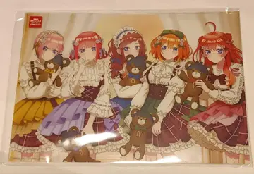 히코쿠지 5등분의 신부 LAST 상