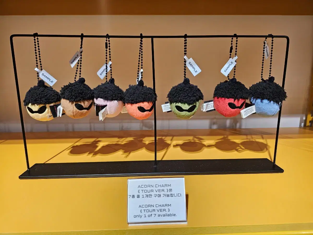 J-Hope Exhibition Concert Acorn