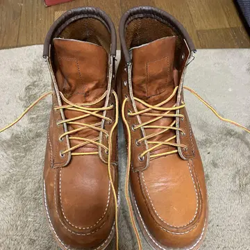 레드윙 RED WING