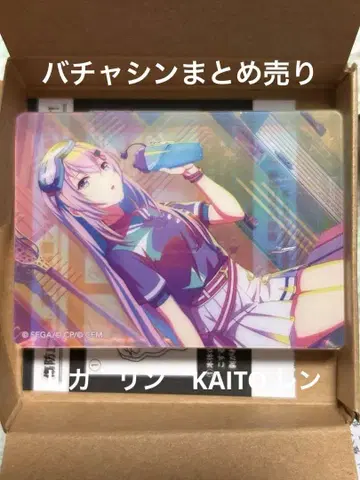 프로세카 노블 아트 44 바차신 정리 린 루카 렌 KAITO