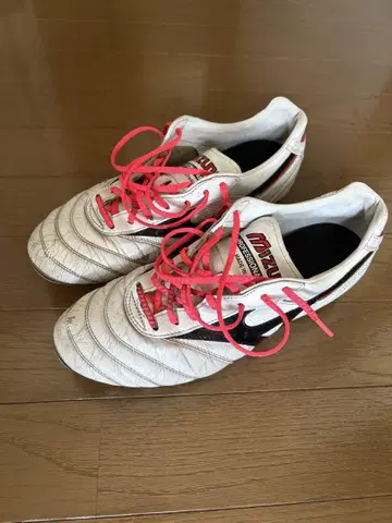 MIZUNO 모레리아 2 JAPAN
