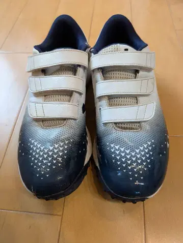 25.0cm Under Armour 업 신발