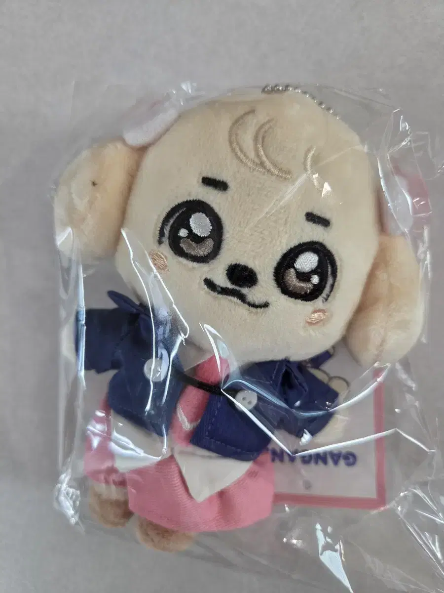 아이브 미니브 스쿨 플러시 키링(강안지)