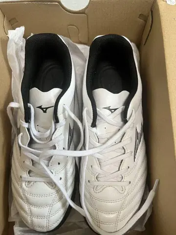 Mizuno 트레이닝 슈즈 23.5cm 화이트