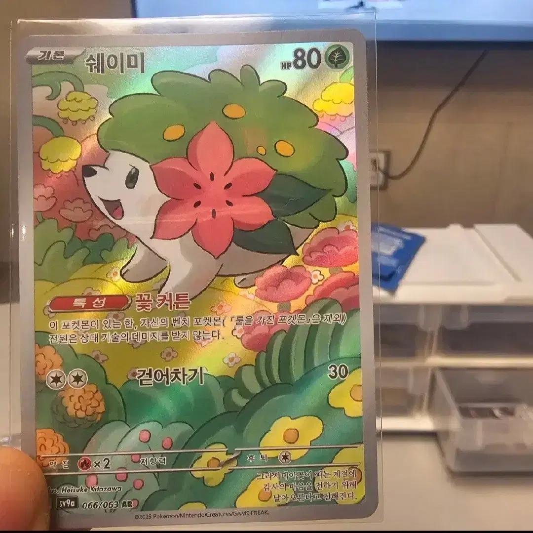 Pokemon Card Shaymin AR Arena of Fever