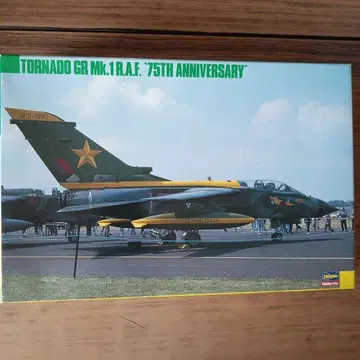 토네이도 GRMk1 영국 공군 공격기