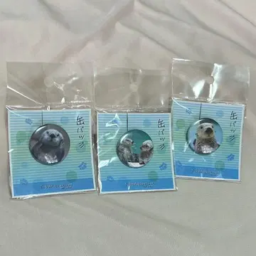 도바 수족관 캔뱃지 랏코 메이 키라